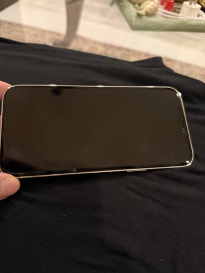 Apple iPhone 12 Pro Max