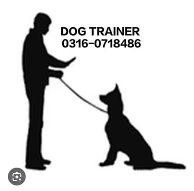 DOG TRAINER LAHORE