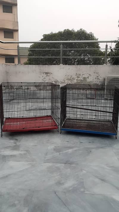 Parrot Cages for sale