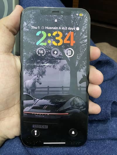 iPhone 12 Pro Max 256 gb