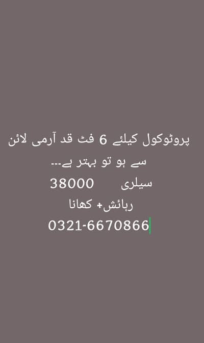 Protocol job + Food& Accomodation