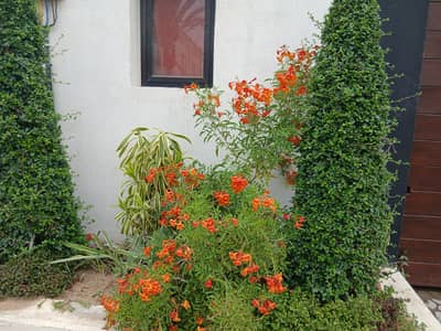 300 SQ | YDS, 2-UNIT, INDEPENDENT BUNGALOW FOR SALE DHA PHASE 4, KARACHI