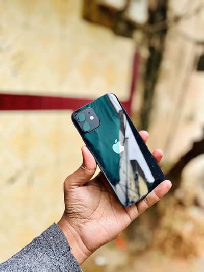 iPhone12 waterpack 85health Price Fix