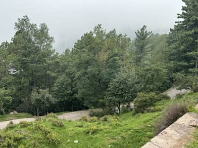 A Precious very centrally Located Commercial plot for sale in Lower Jhika Gali Scheme Murree. Almost 5 minutes drive from Mall Road.   Having direct access from Murree Expressway way,