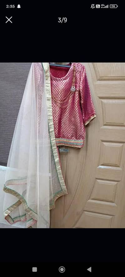 beautiful indian lehnga cholii and large organza dupatta