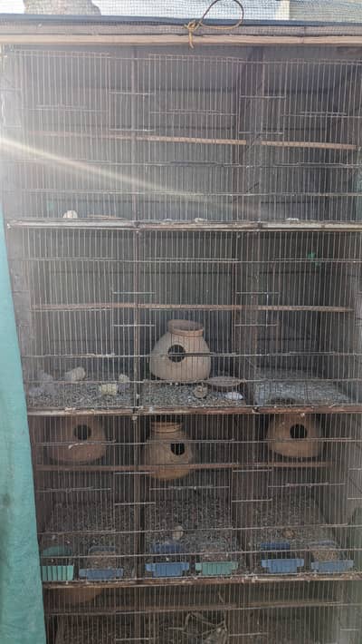 12 portion used cage for sale