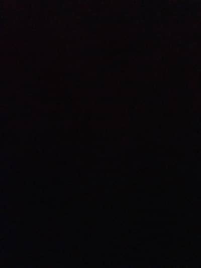 beautiful White dumba