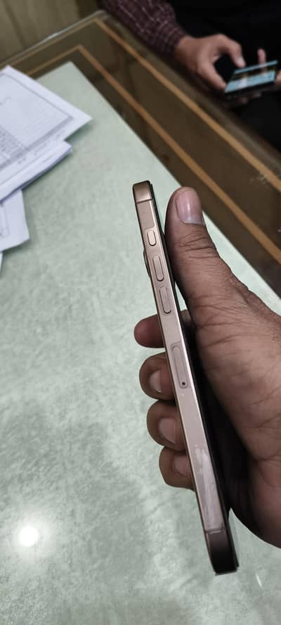 16 pro max dual physical