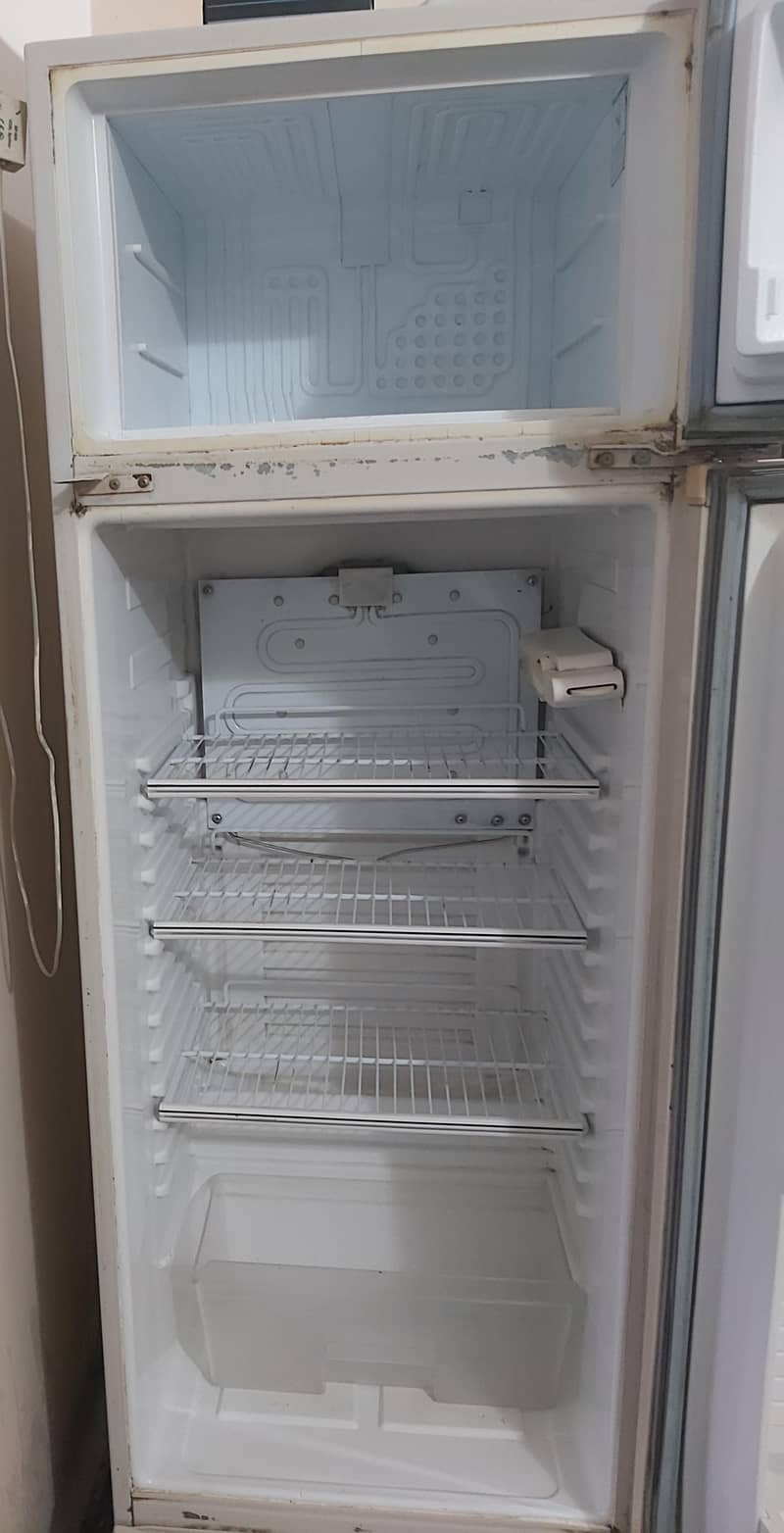 Fridge 1