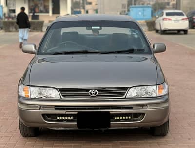 2OD corolla Beauty is for sale