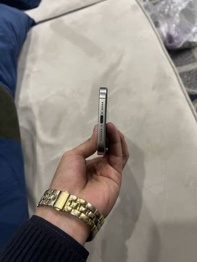 15 promax natural titanium