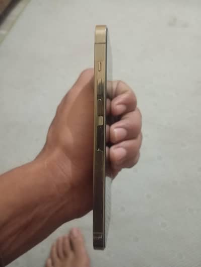 iPhone 13 pro max  256