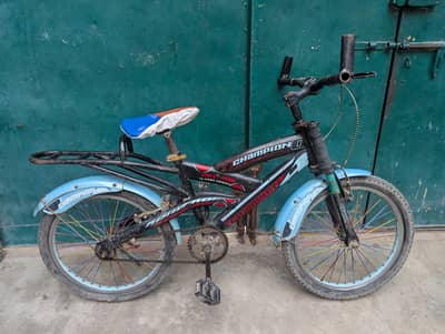 Champion bicycle 2021 for 9-12 years