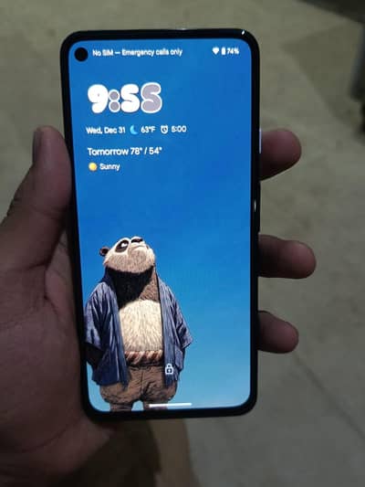 Pixel 4a 5g