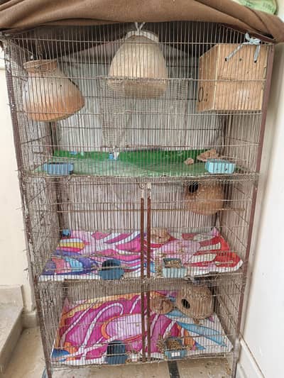 5 khanO wala pinjera one pair anday deya hova hai one female extra