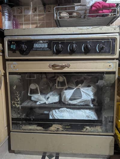 Indus oven with attached chulha in just 38'000