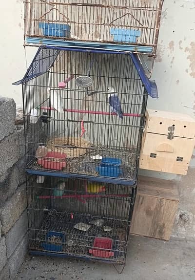 1800 Rs :Cage For Sale