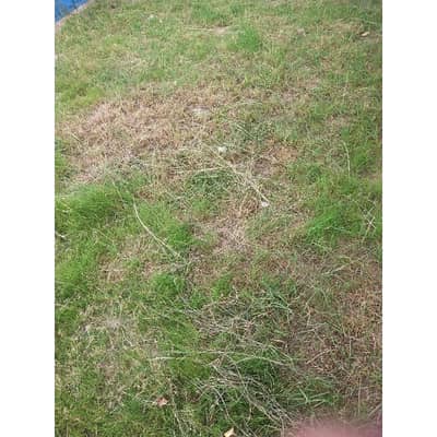 Ideal 4500 Square Feet Residential Plot Available In National Police Foundation O-9 - Block A, Islamabad