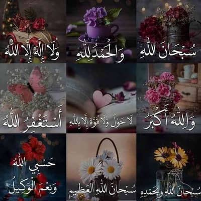 Muhammad Ameer Talha 