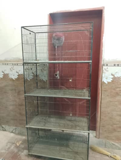 bird cage