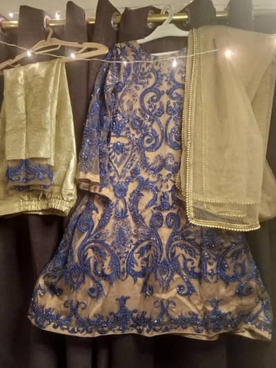 Title:Chiffon & Net Ready-to-Wear Dress (Used – Excellent Condition)