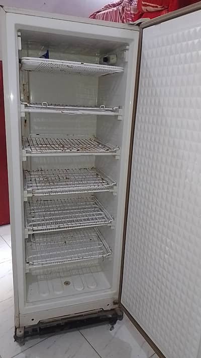 Excellent condition. . Vertical Defreezer for Ramadan and Qurbani