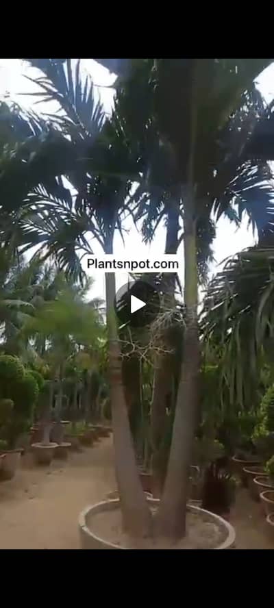 Plot for sale in B17