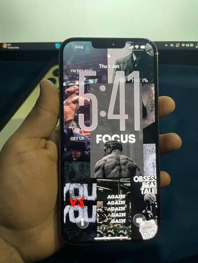 iPhone 13 pro max pta approved