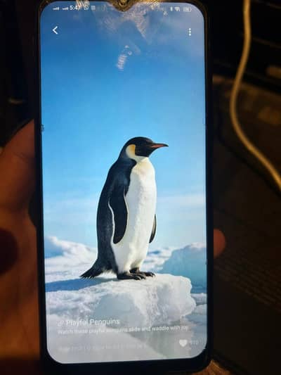 vivo y21 panel change