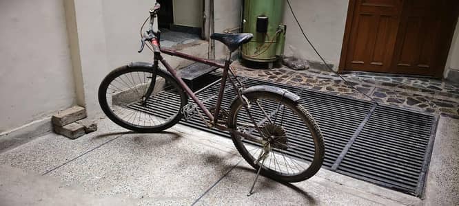 phoenix bicycle