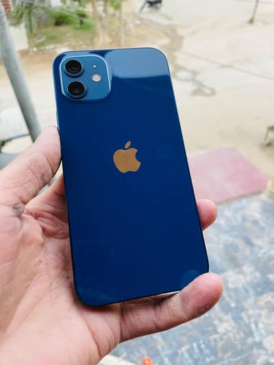 Iphone 12 pta approved