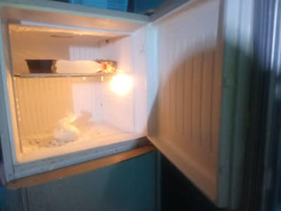 اچھی کنڈیشن میں ہے فر