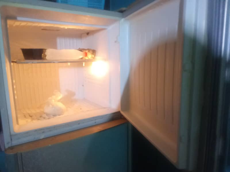 اچھی کنڈیشن میں ہے فر 0