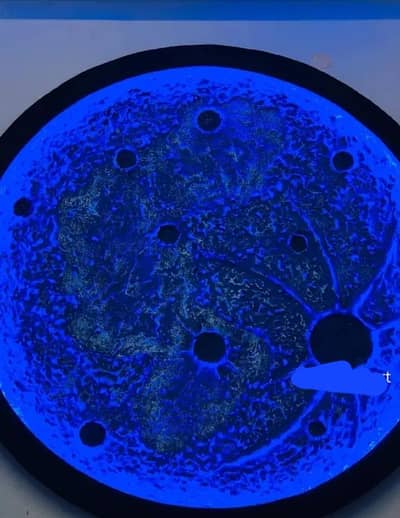 moon light whatsapp 03182269413