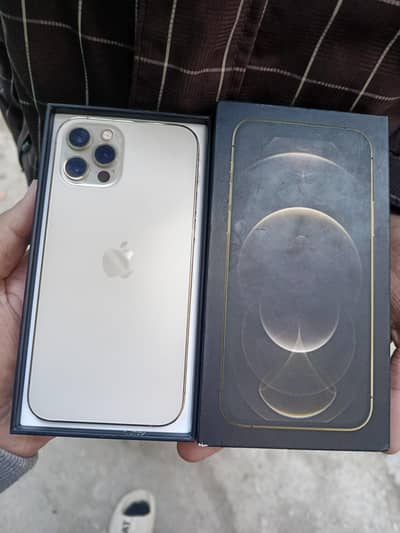 12 Pro Official Dual sim Pta Approved 256 With Box