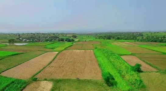 500 Kanal Bakabza Agriculture Land