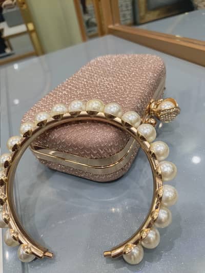 Elegant and stylish clutch