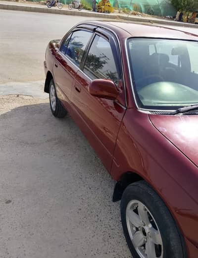 Indas corolla file miss