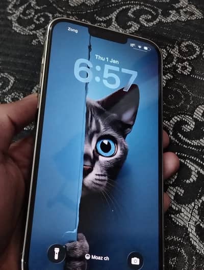 Iphone 13 pro max PTA approved