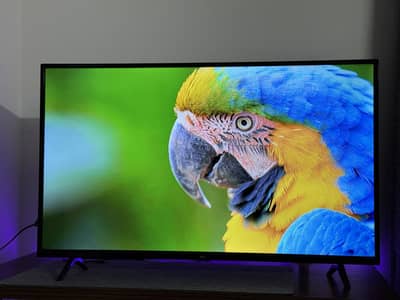 TCL 43-inch LED TV [43D3000]