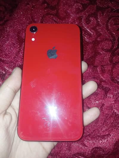 iphone xr (product)