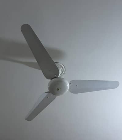 SK Fan 56" Size