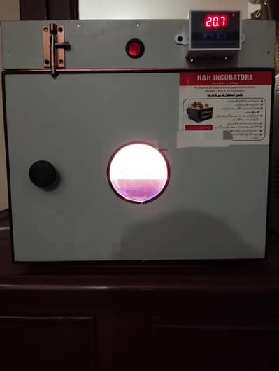 30 eggs incubator