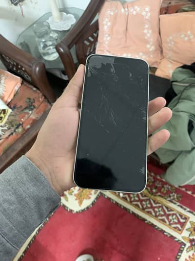 13 pro max bypass 256gb