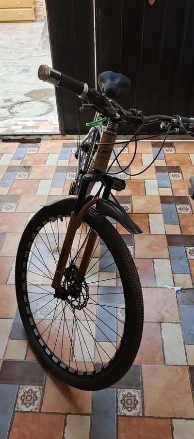 Extreme sports Morgan MTB bicycle