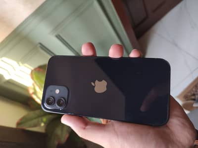 Iphone 12 pta approve