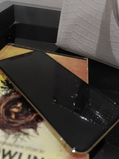 Budget IPhone 12 pro