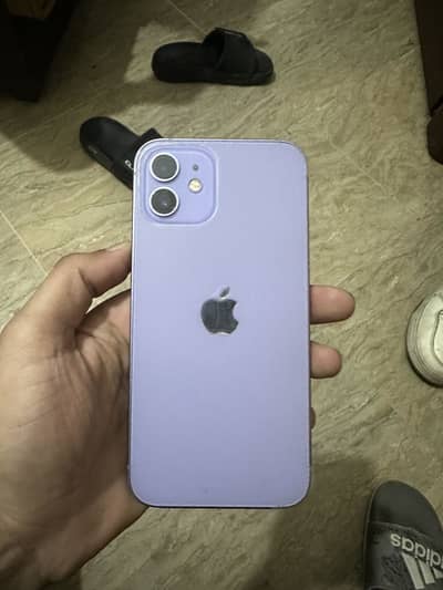 Iphone 12 PTA approved