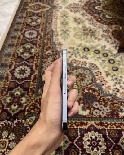 Iphone 13 pro (finl price)