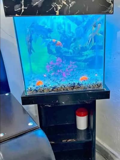 Fish Aquarium for Sale – Complete Tank Setup with Stand